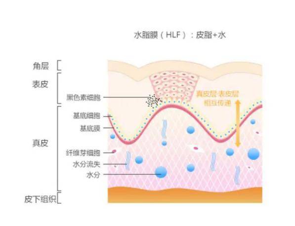 白珂兰养肤黑科技 part1 超渗透,强吸收的ph12亚原子水_皮肤