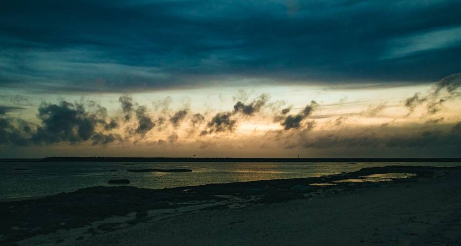 新一轮高管调整揭开家电新赛道的复杂性-家电圈官网