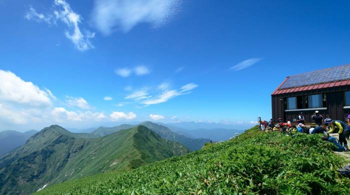 复盘今年双十一家电业首战：一个底线未破一个误区待解-家电圈官网