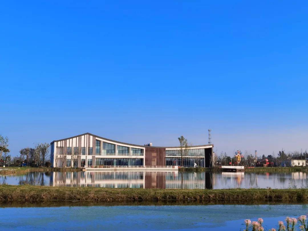 乡村振兴旧城海子打造乡村振兴齐鲁样板