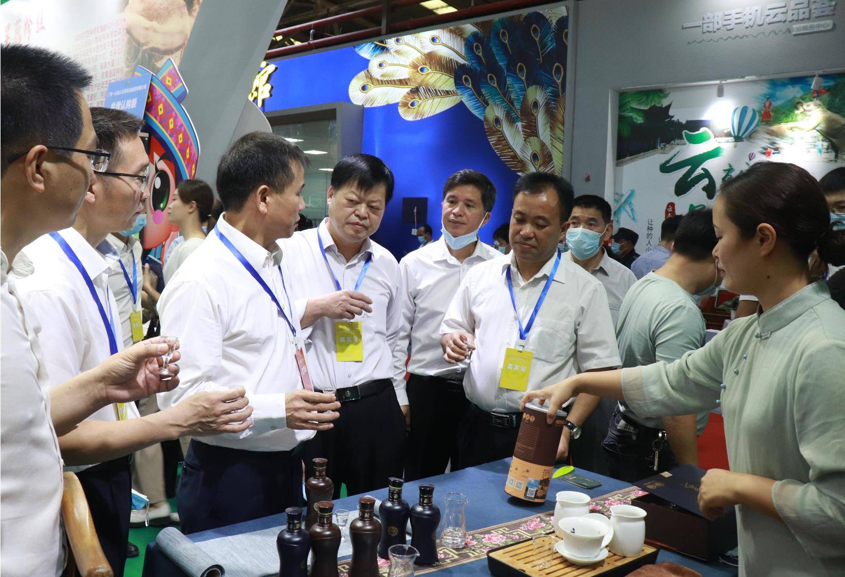 河池市人民政府副市长黄贤昌率领河池市展团280人参展,并邀请了涉农