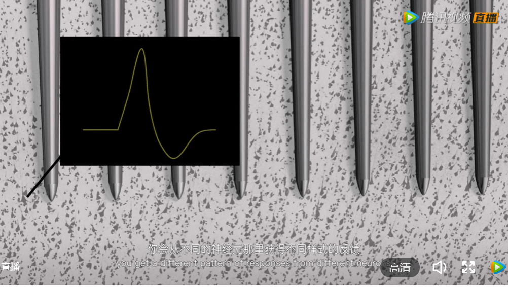接口|2021腾讯科学WE大会---脑机接口技术