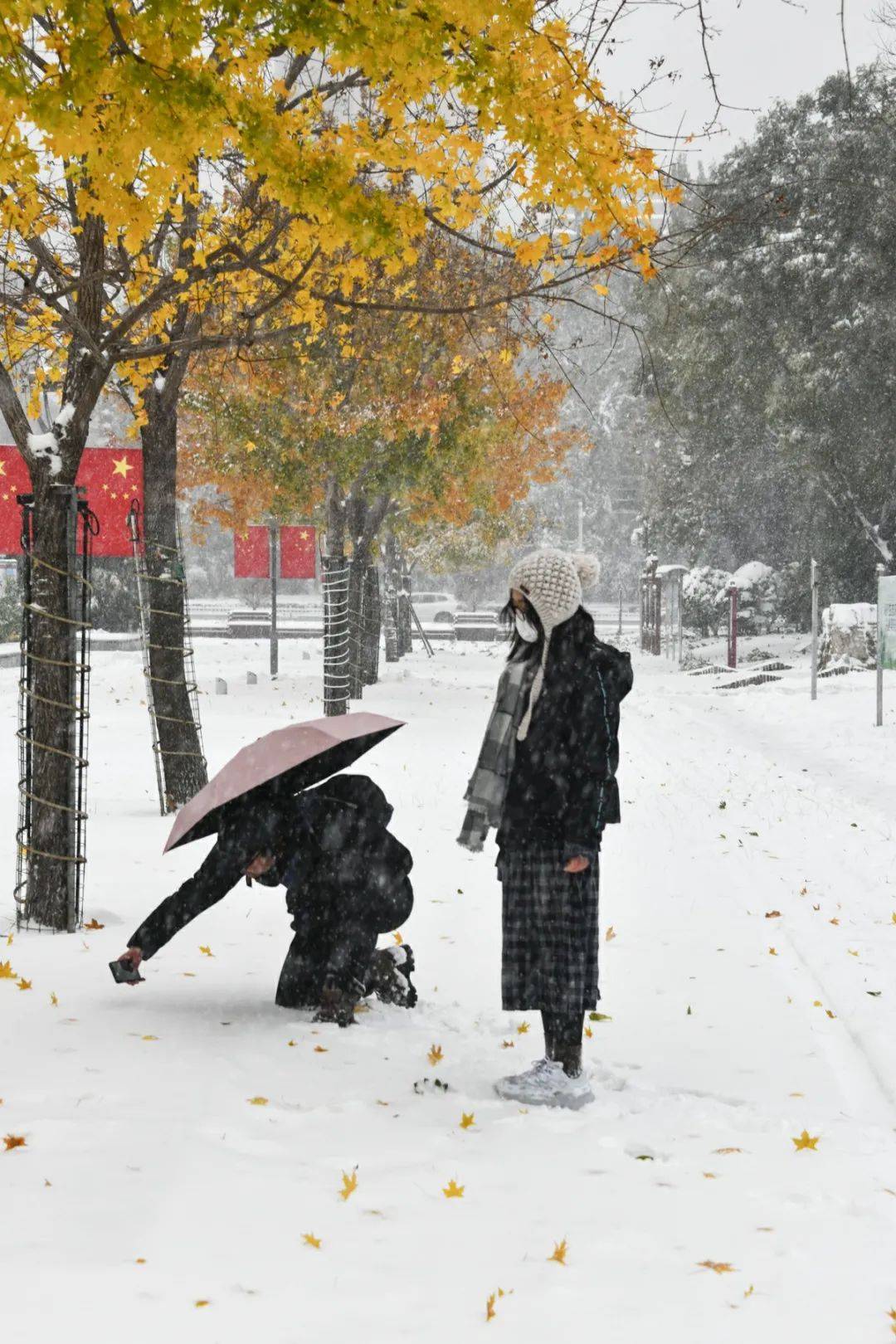 视频|你猜！雪中的武清有多美！