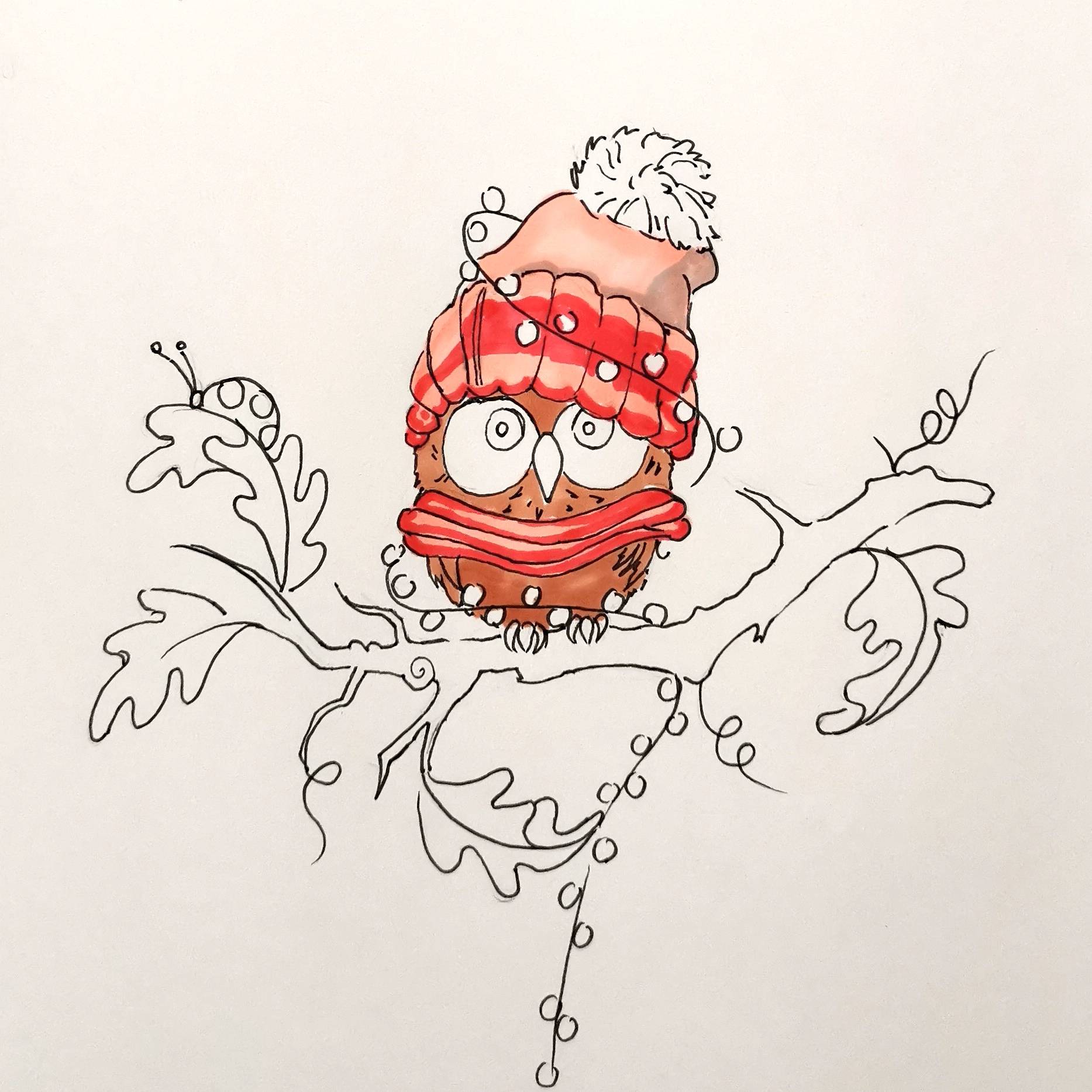 画师戳戳教你画戴帽子的猫头鹰