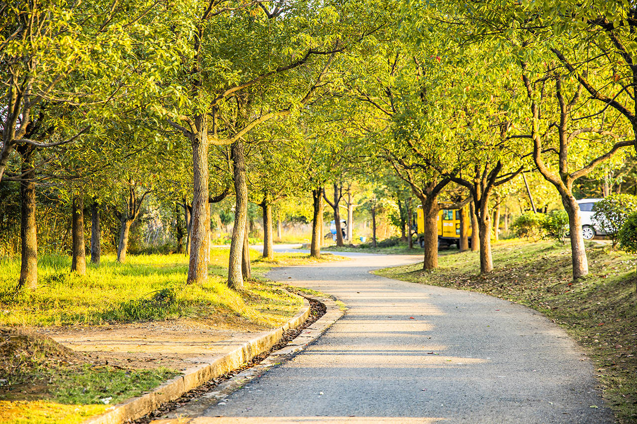 盆景|鲍家花园，中国最大的私家园林盆景观赏地