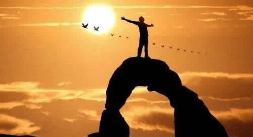 【王牌决策情报&amp;2021年11月20日 星期六】