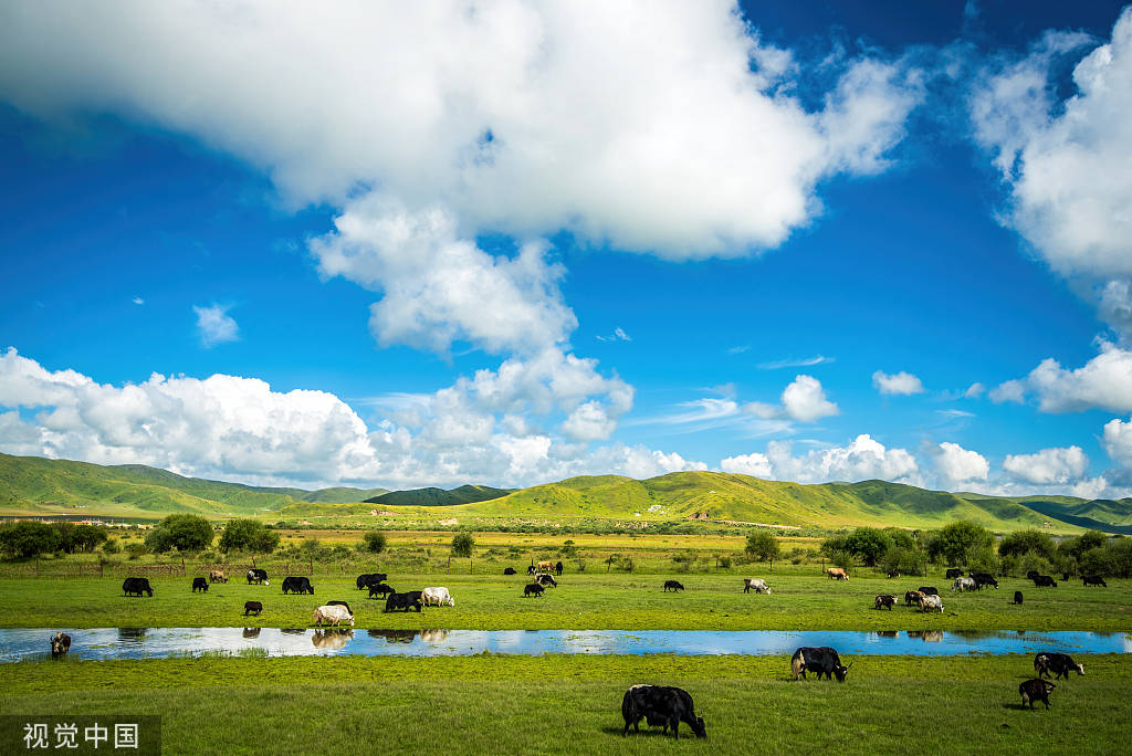 在安多部落草原民宿邀你看遍辽阔草原,感受宁静!