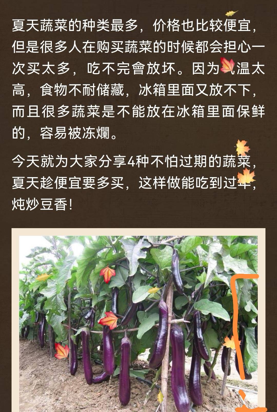 蔬菜|四种不怕过期的蔬菜，夏天便宜多买，这样做能吃到过年，炖炒都香