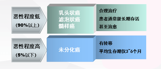 科普|甲状腺 大家谈 | 甲状腺疾病无处不在，早早抓住踪迹才能管好它