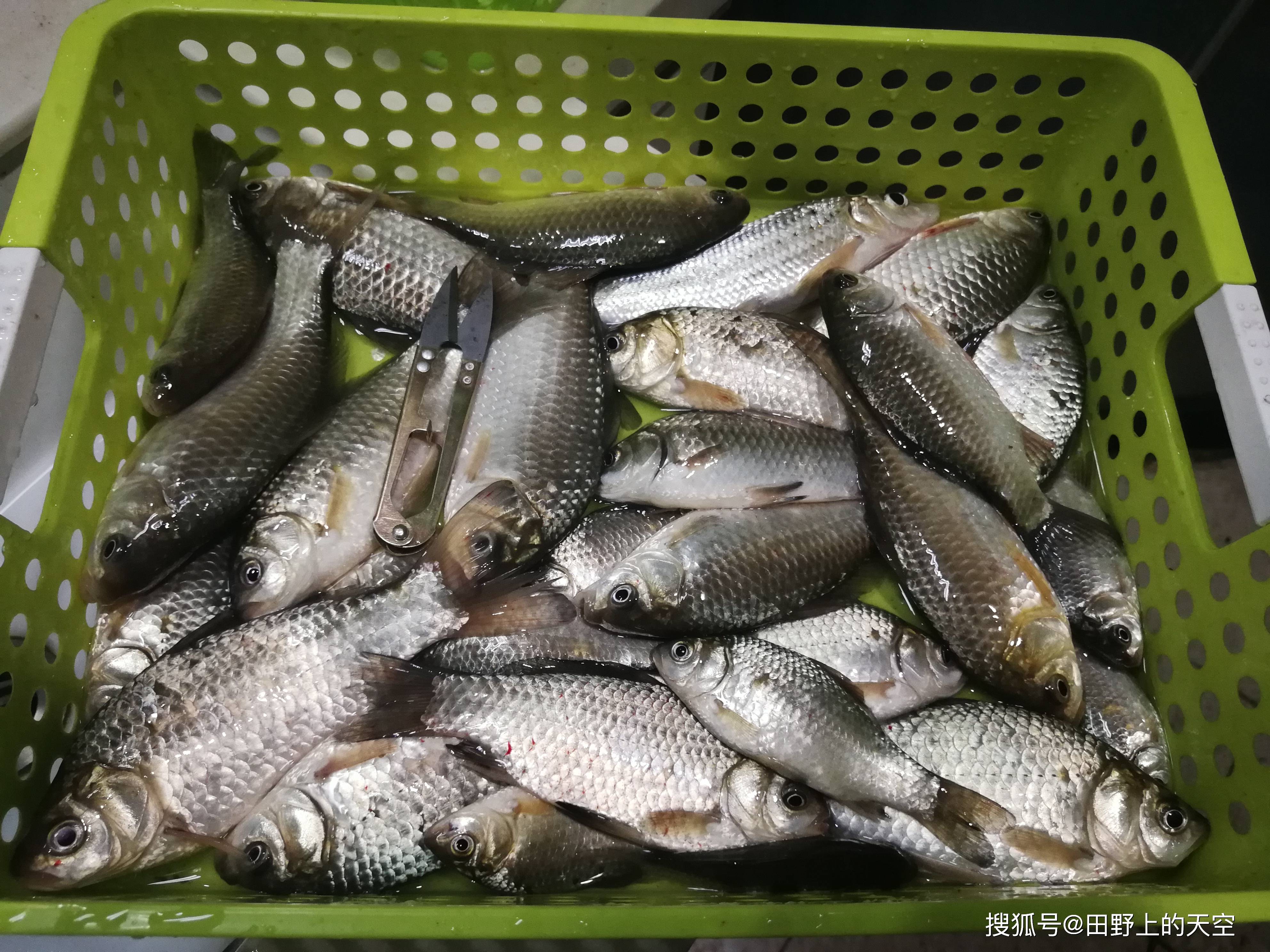 在郑州都哪些地方可以钓鱼