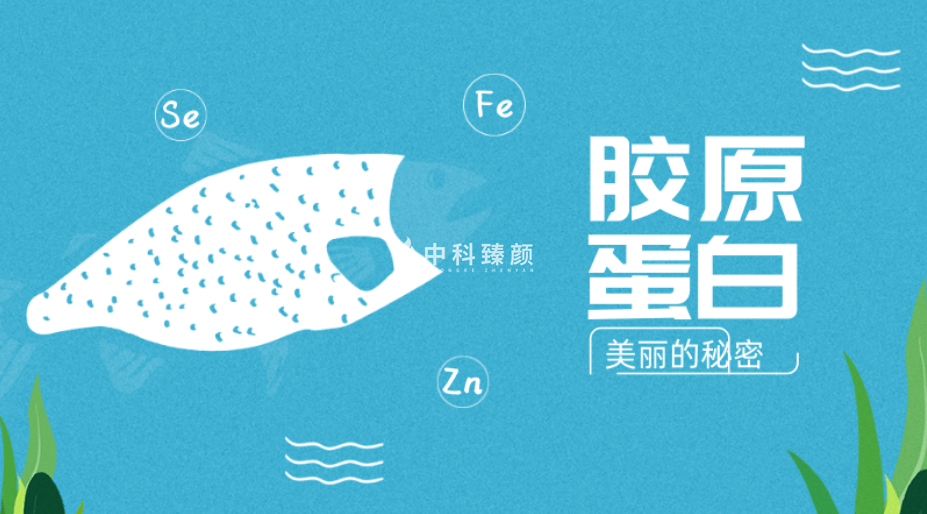 人体中科臻颜胶原魔法 胶原蛋白 人源Ⅲ型胶原蛋白抗衰?维稳?修护