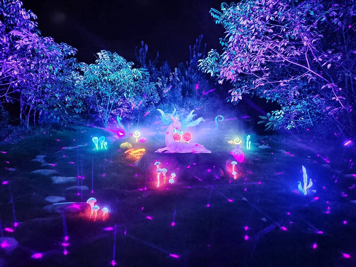 原创梦幻山谷光影秀冬季夜游新体验趣游夜谭白鹿原