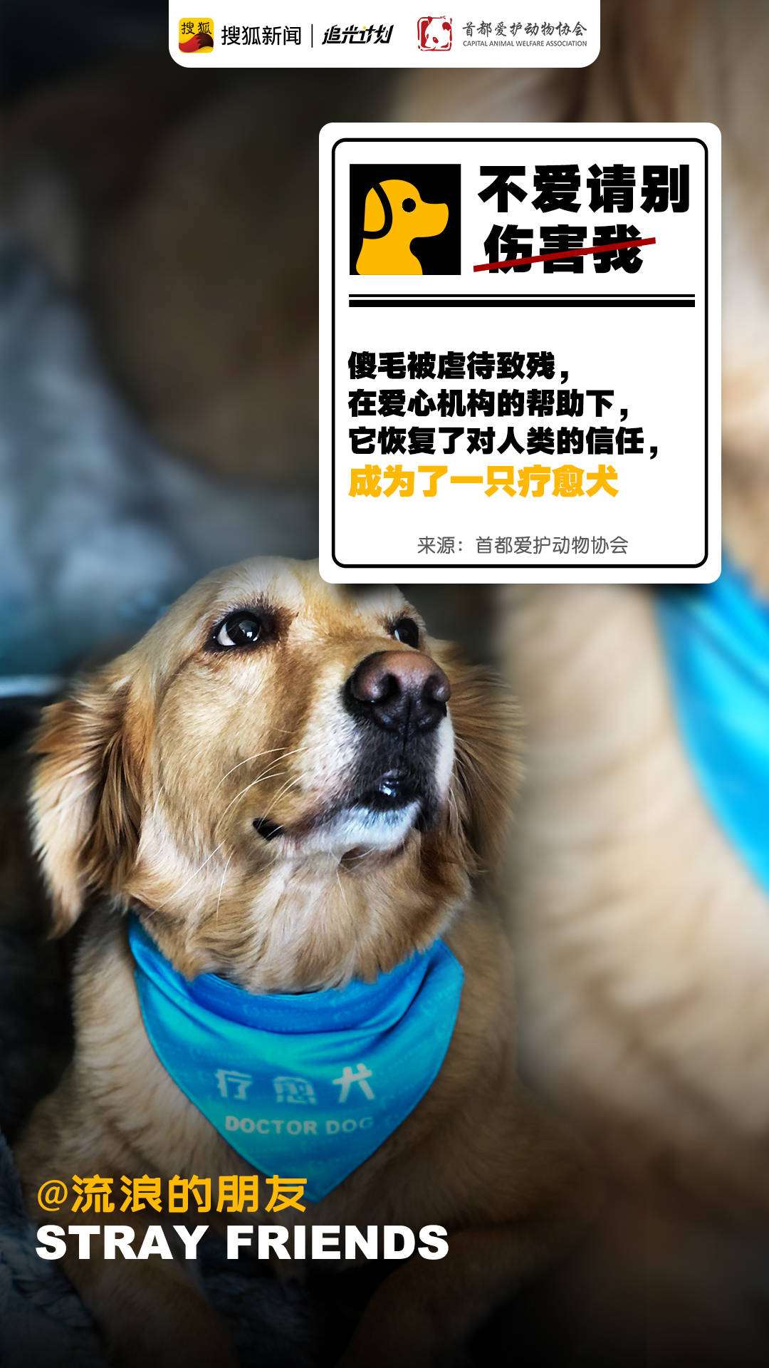 探访首都爱护动物协会 每个生命都值得被救助 实验品 人类 老大