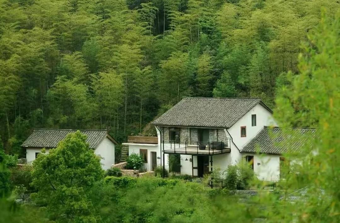 是时候,逃离大城市了,从西坡开始._莫干山_千岛湖_包栋