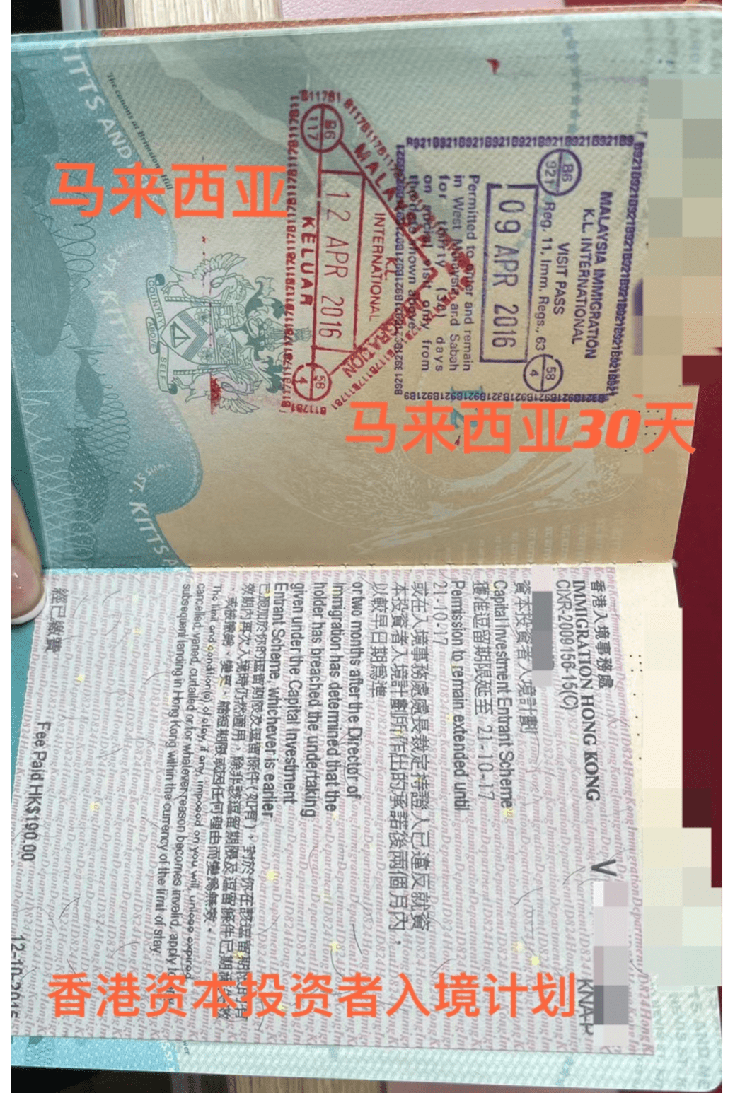 新加坡免签入境怎么填写 37800dcf625649f8a51777c0091a1730.png