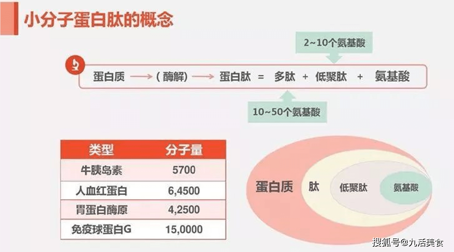 植物性健康饮食素食_广州市食尚国味饮食怎么样_从饮食说健康老年人饮食养生密码