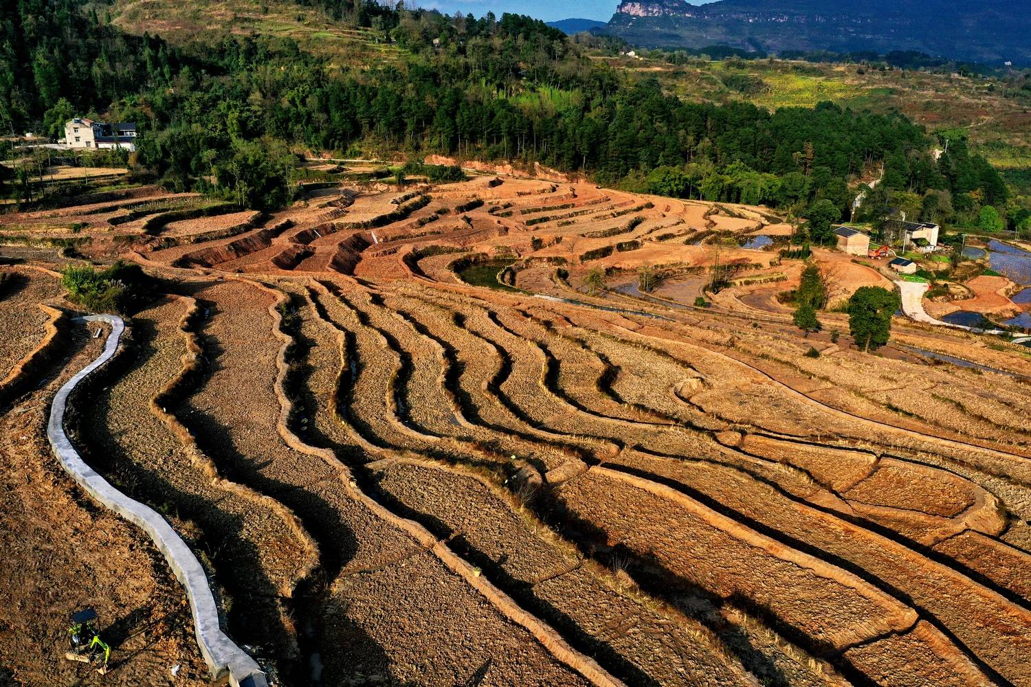 綦江区三江街道寨门村打造七彩梯田_改造_农田_蒋焰