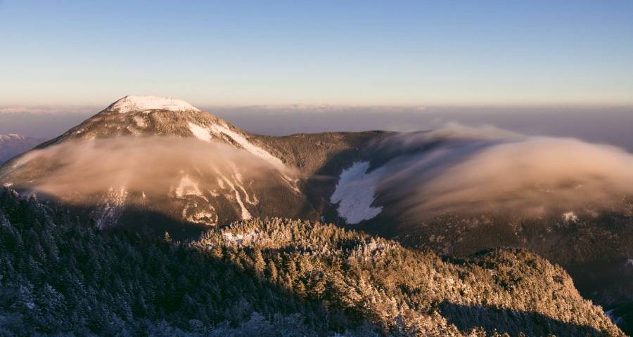 无论高端受宠或低端抢量,家电企业都不能走极端-家电圈官网