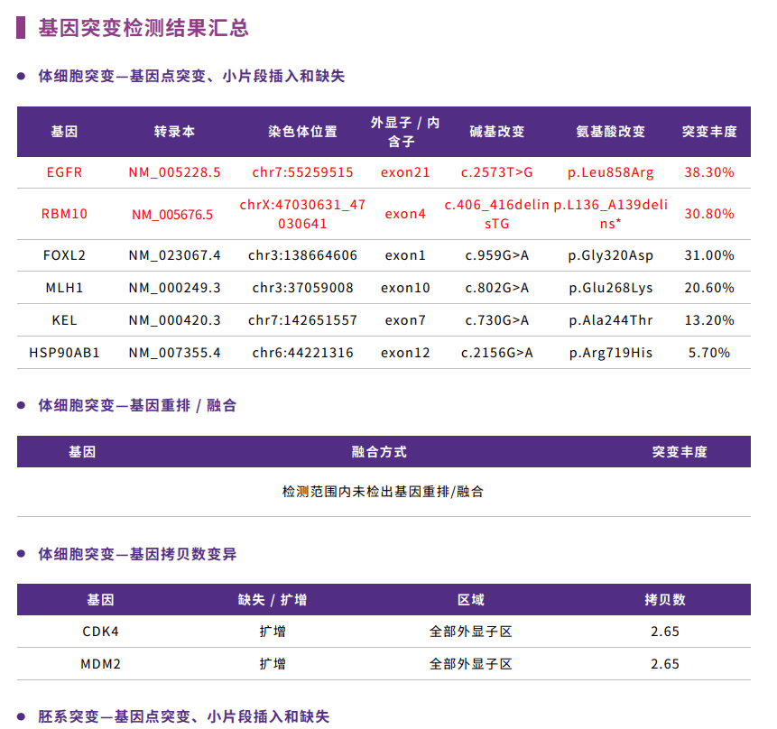 基因检测报告解读图片