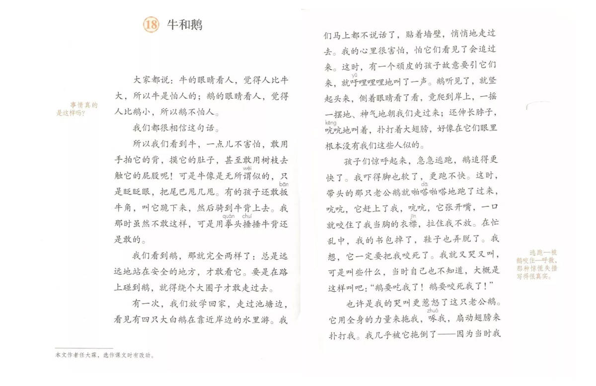 四(上)《牛和鹅》试讲教案及备课思路_金奎叔_批注_课文