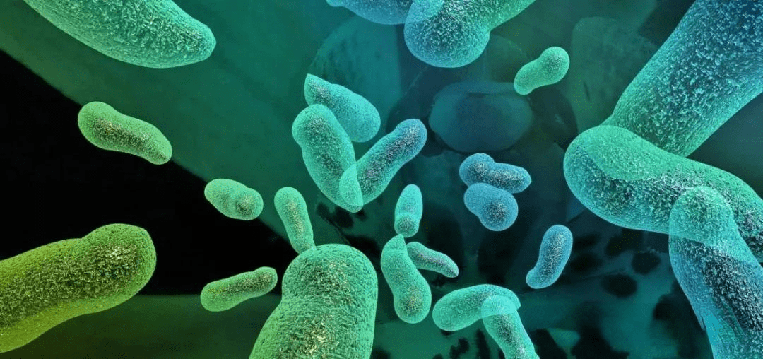 食品生产中防止微生物污染的方法