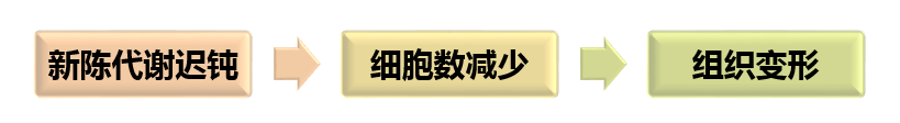 科技科技护肤与护肤黑科技——皮肤衰老的秘密