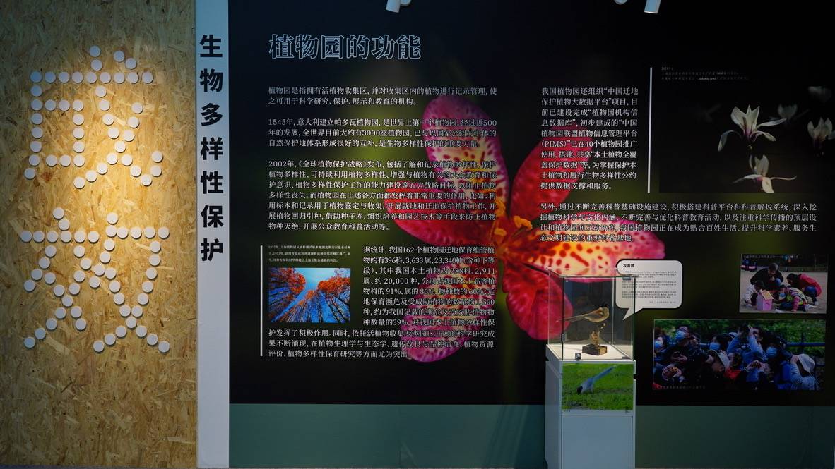 上海植物园生物多样性保护科普展