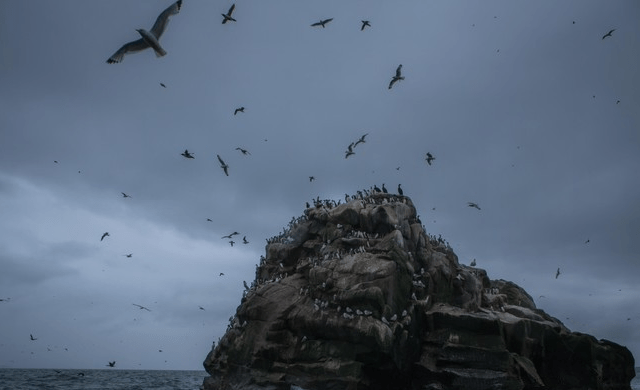 科曼多尔群岛:白令海的出海口,俄罗斯掌控北极航道的交通隘口_东北亚