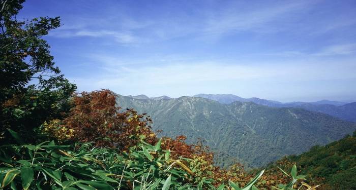 2022年家电业会变得更好？哪些品类将走出反弹行情-家电圈官网