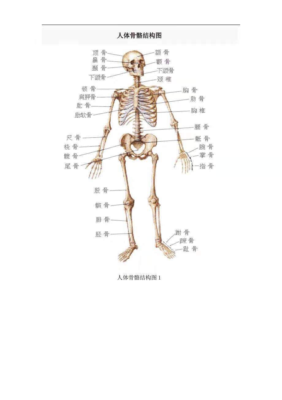 12c3bbdc9a2142509aa68c8d6fd38e71.jpeg