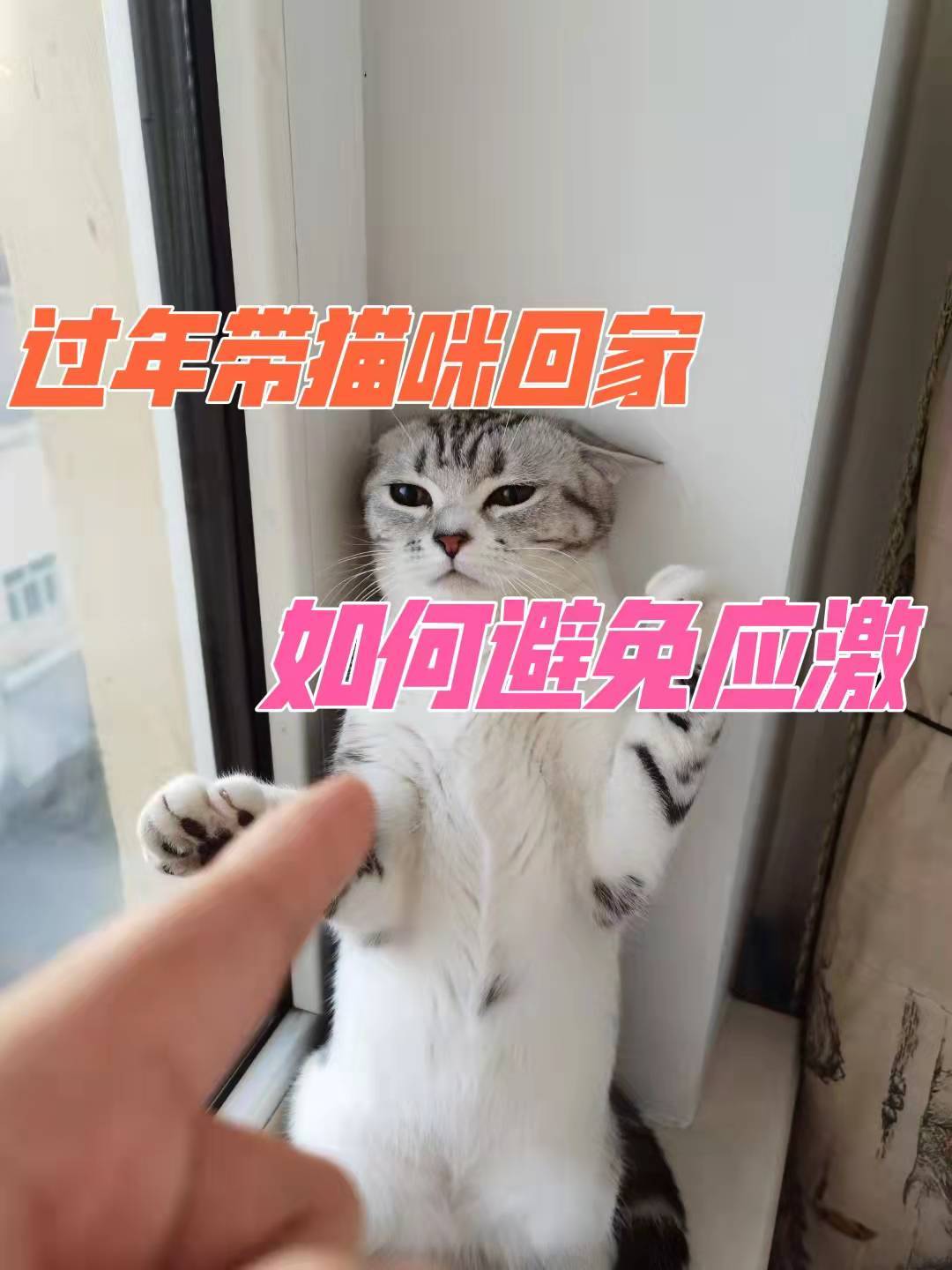 2803fbde76e045f09a66b5b0ab024d6e.jpeg