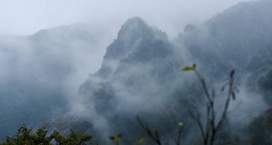 家电巨头再战芯片，海信方太老板海尔美的莱克三星再出手！-家电圈官网