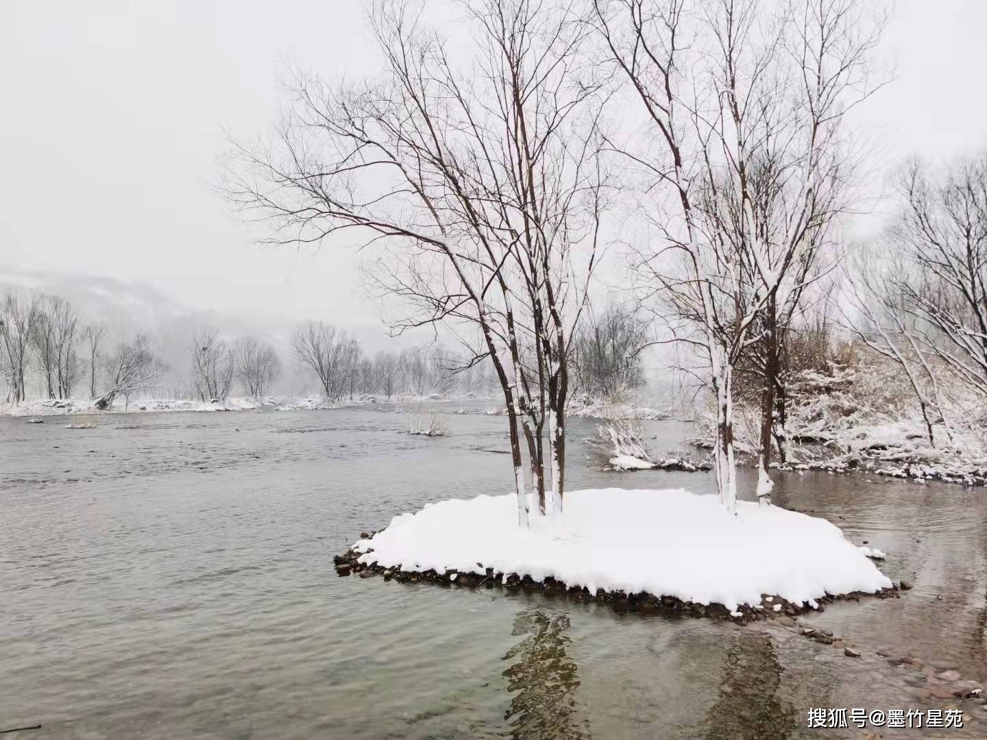 款款深情|【墨竹】多彩的雪