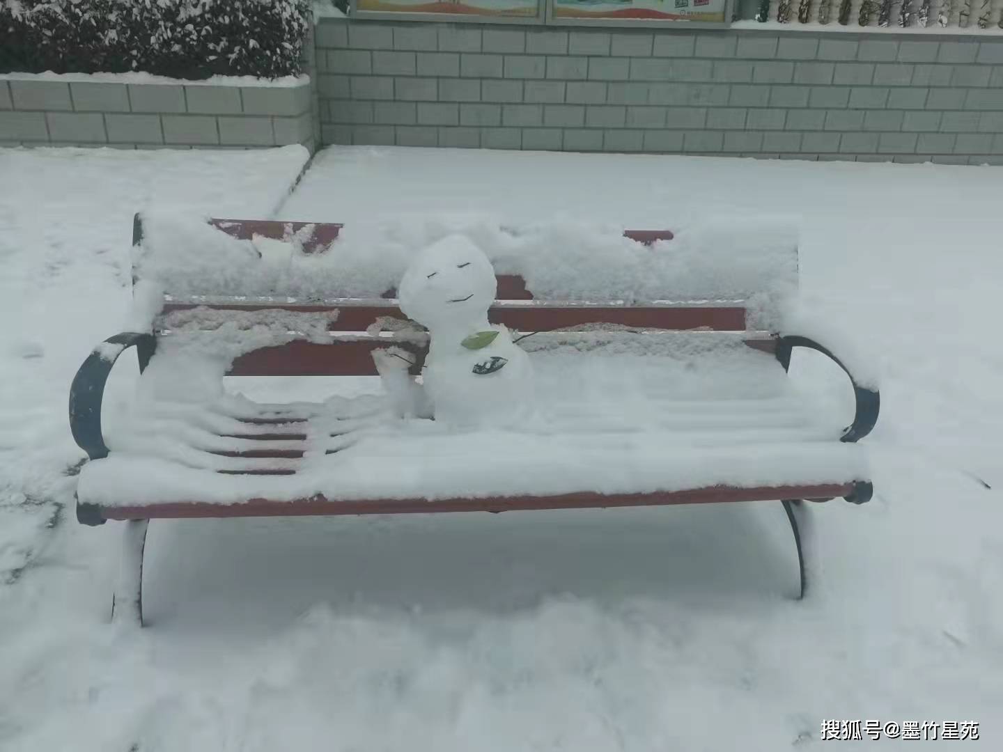 款款深情|【墨竹】多彩的雪