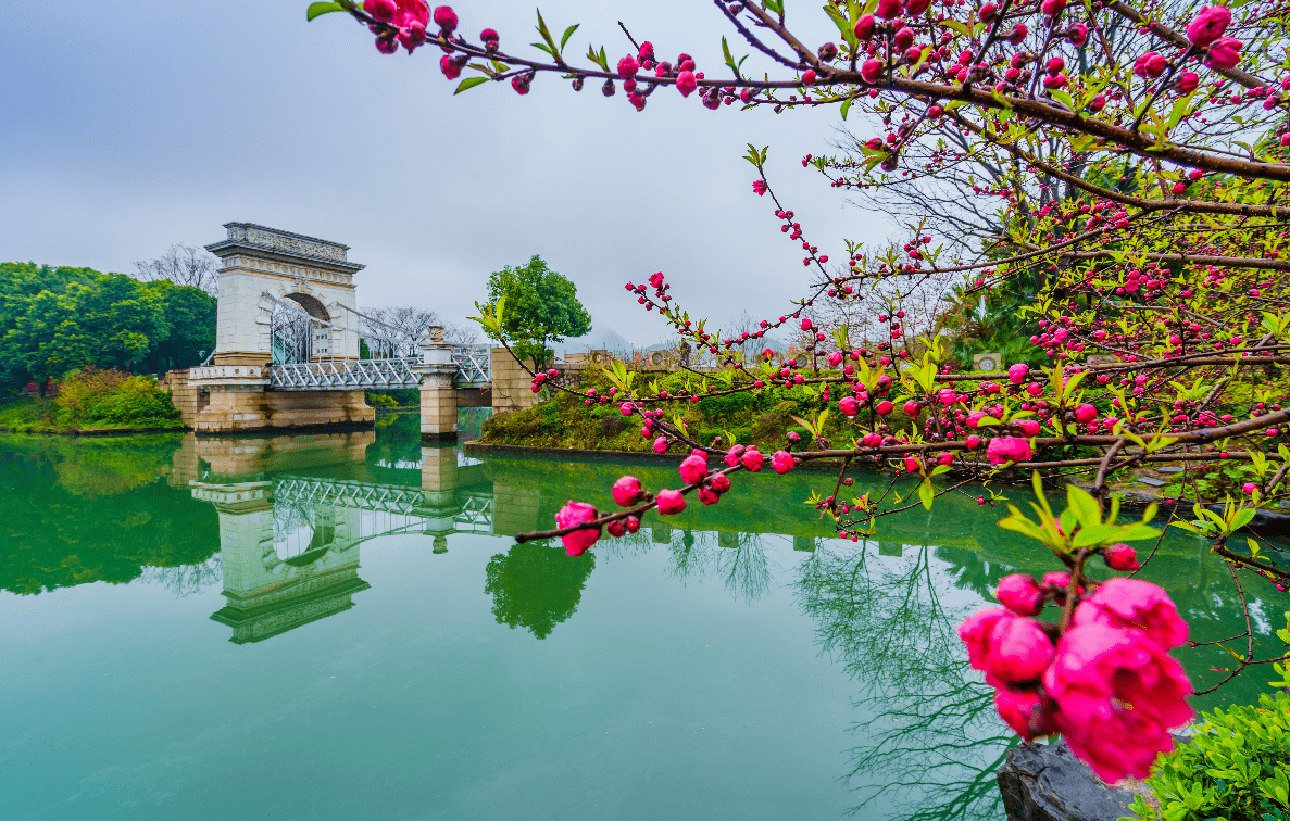 乘一船美景,许一年好运,广西人福利重磅来袭_活动_山水_桂林