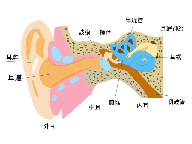 骨传导耳机好不好骨传导耳机的原理是什么
