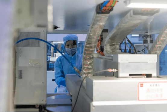 隆基乐叶生产防疫两不误