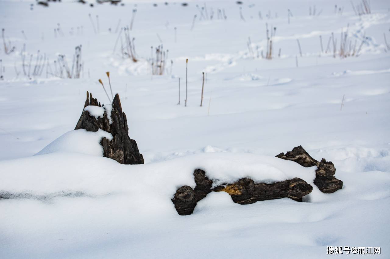 之门|心梦之门格拉丹 雪原寻欢牧情诗