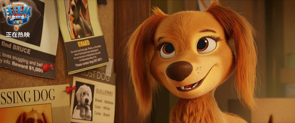 首选|机智贝贝营救阿奇 寒假亲子首选《汪汪队立大功大电影》热映中