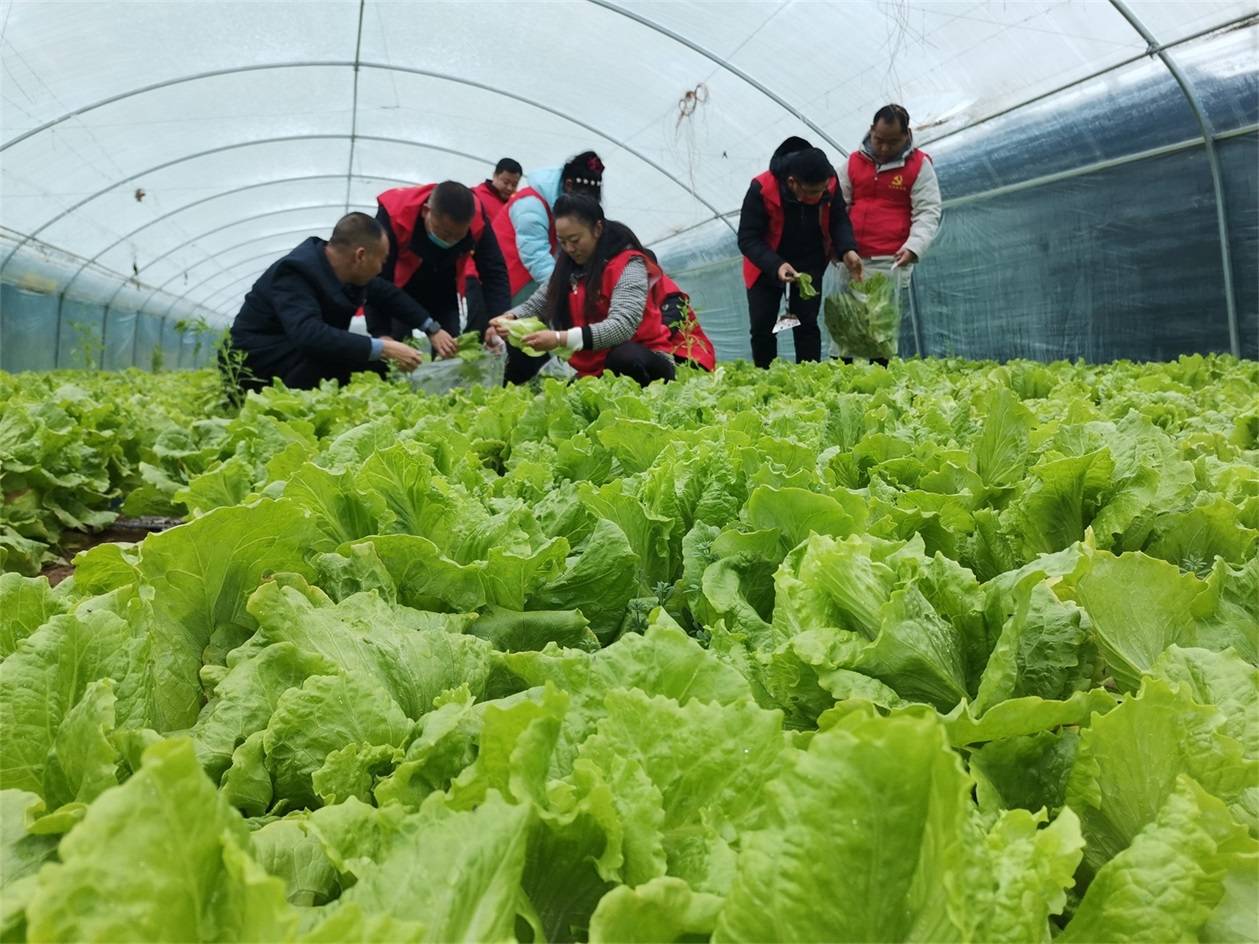 汴梁头条河南尉氏县轻骑书记下乡来种植大户乐开花