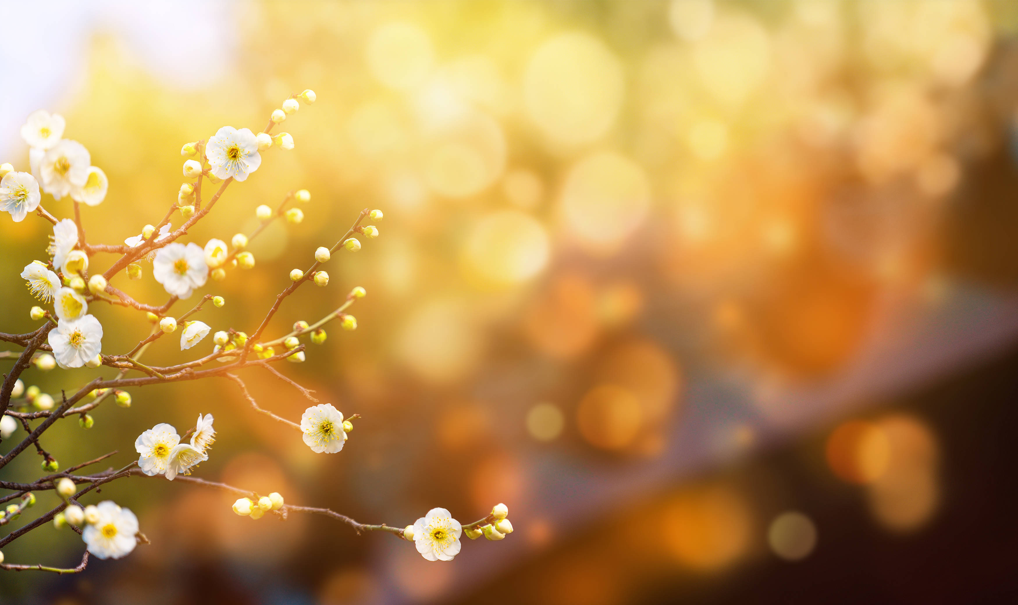 感觉神经春季敏感肌伤不起?做到这几点,拯救危“肌”!