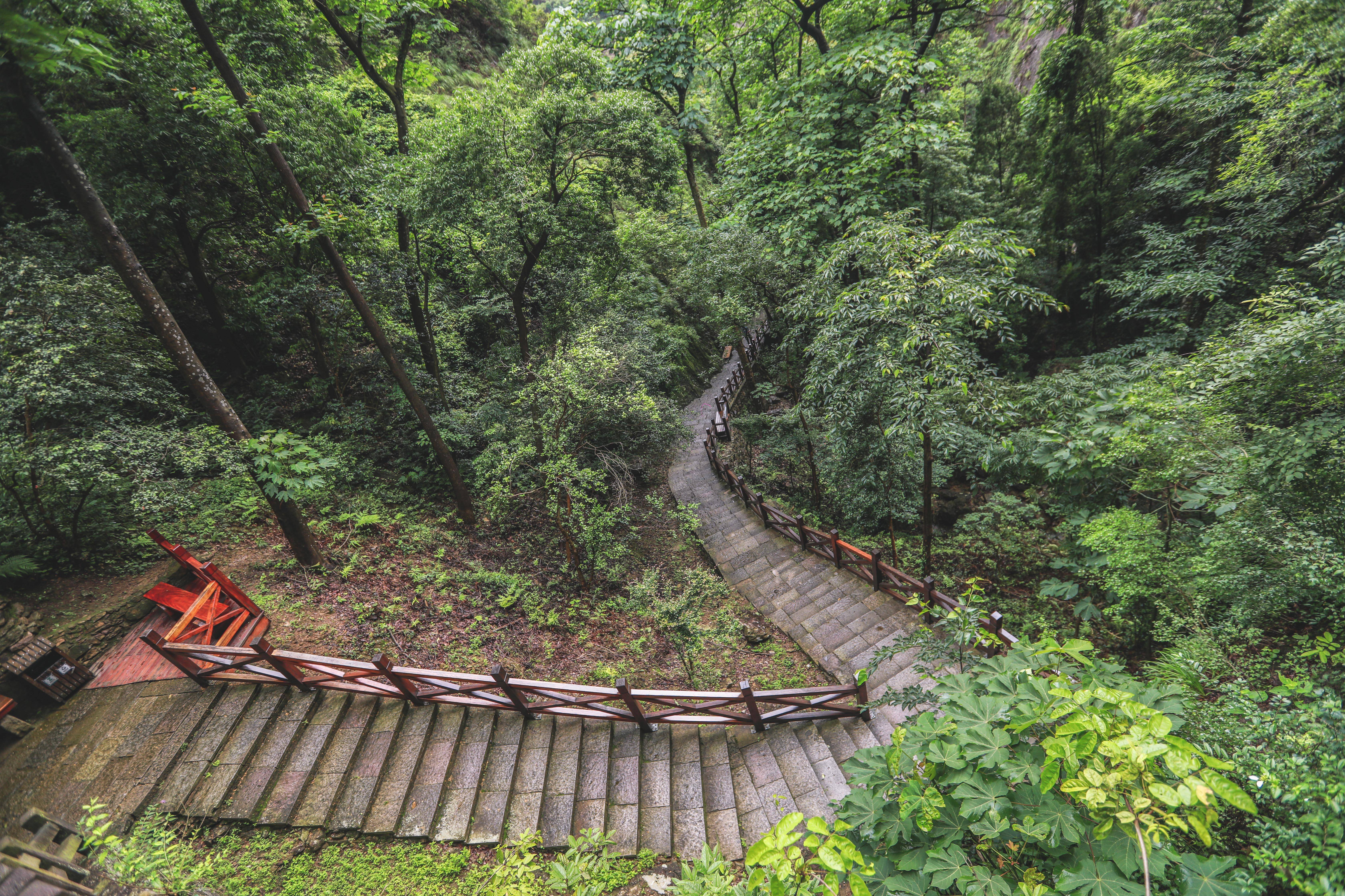 景区|它是浙江温州名山，形成于1亿2000万年，被称中国“东南第一山”