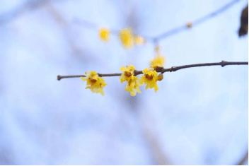 大地|阳光下绿满航天