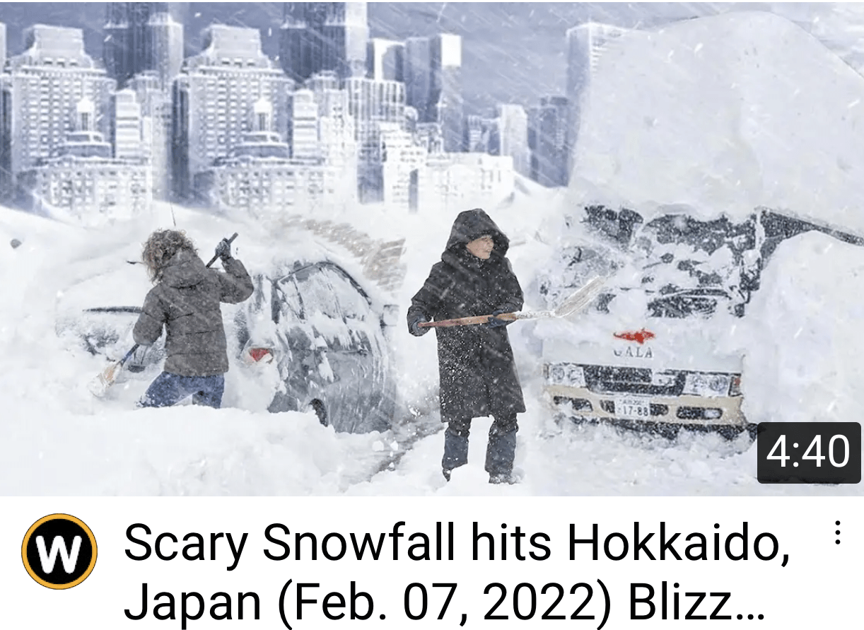 拜登|残酷的雪景，惨兮兮的美感