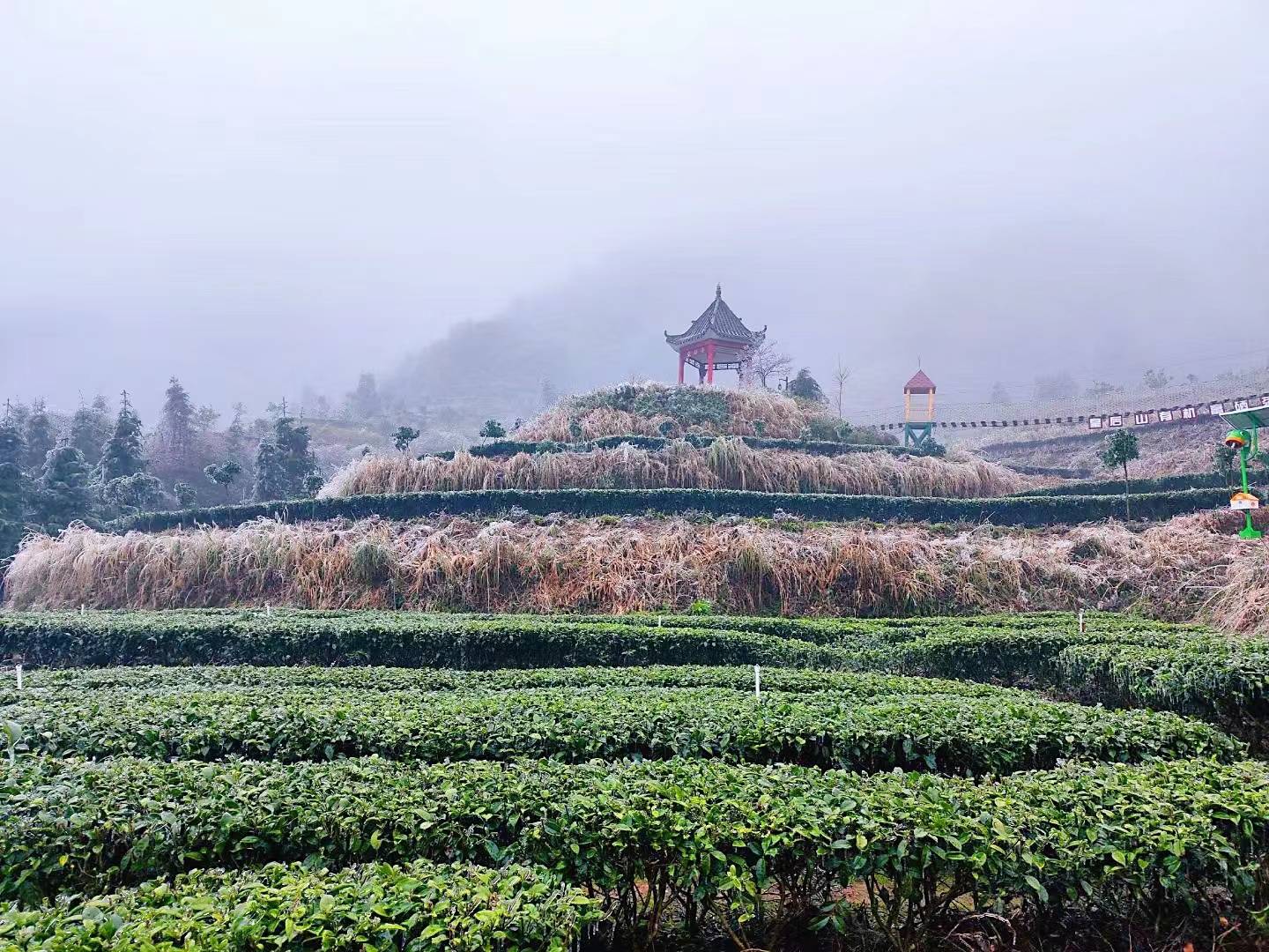 广东连山皇后山景区图片