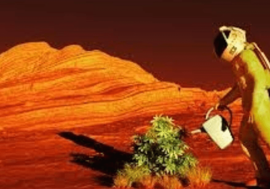 如果将地球植物种植在火星上 会改变火星大气层吗 地衣 生命 氧气