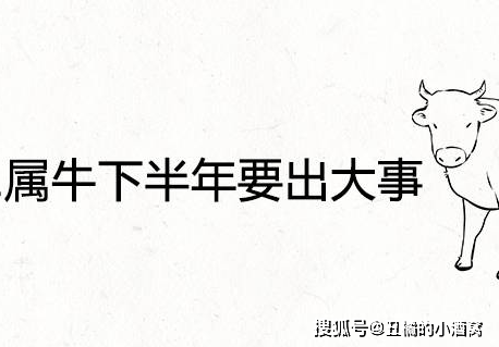 原创2022年属牛下半年要出大事是真的吗会有哪些灾难