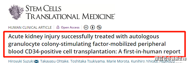 治疗|干细胞疗法丨成为让肾功能衰竭慢下来的新选择