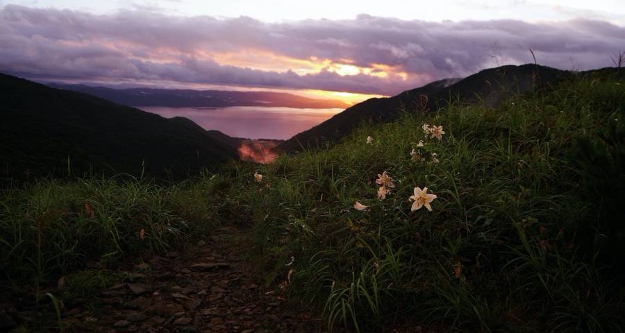 低增长常态下家电企业要调整竞争重心-家电圈官网