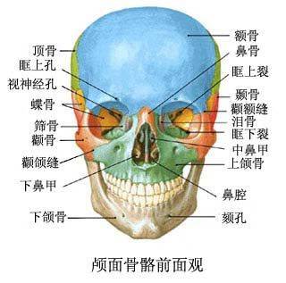 因为拔智齿瘦脸？你在开什么国际玩笑！